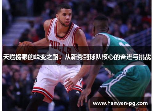 天赋榜眼的蜕变之路：从新秀到球队核心的奋进与挑战